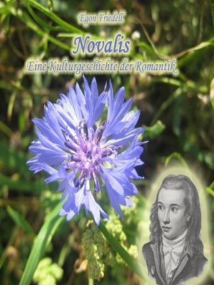 cover image of Novalis